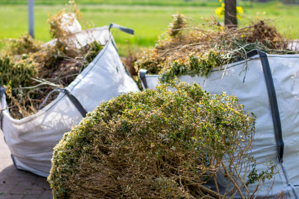 Demolition Debris Removal in Estill Springs, TN